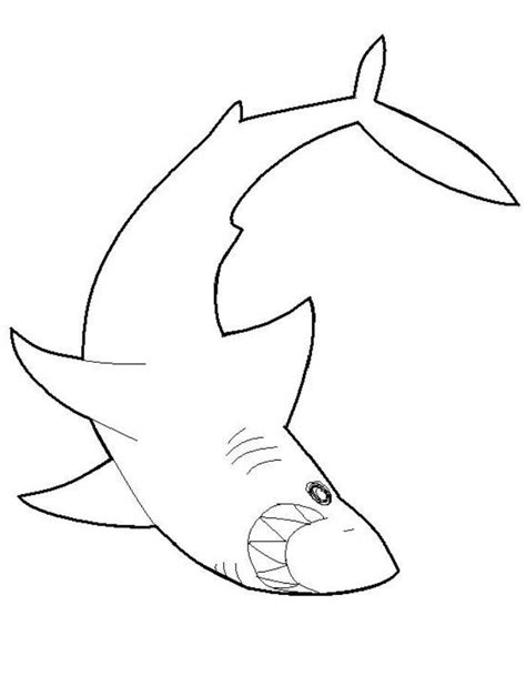Great white shark linear coloring page - coloringus.com