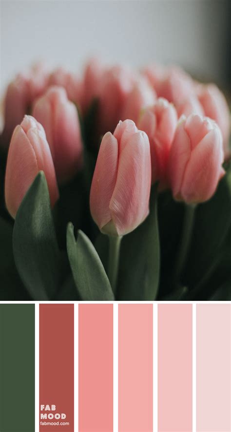 Divertidísimo patio Campo de minas pink green color palette la ...