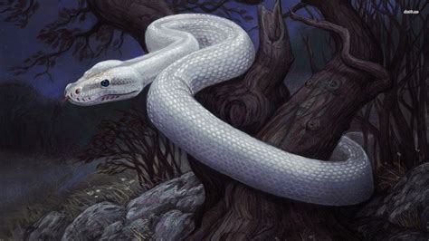 Ladon - Similar to a giant python or snake, these dragons are mentioned ...