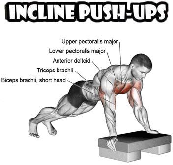 How to Do Perfect Pushup: Decline & Incline | Exercises Guide