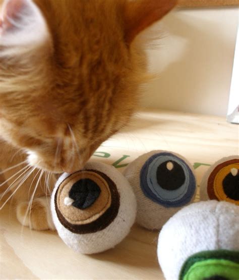 Cat Toy - Catnip Toy - Catnip Eyeballs (Pair). $10.00, via Etsy. | Cat ...