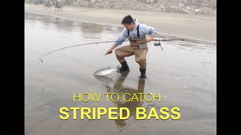 TIPS ON HOW TO CATCH STRIPED BASS - Surf Fishing - YouTube