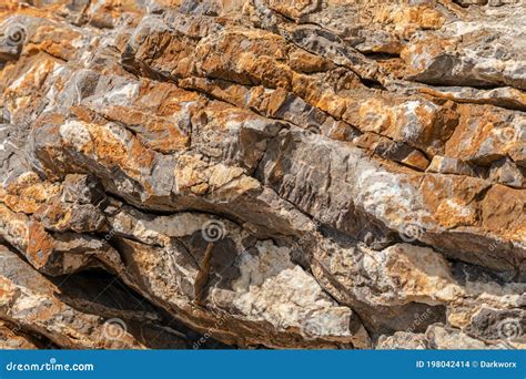 Fossil In Schist Metamorphic Rock Royalty-Free Stock Image | CartoonDealer.com #67121560