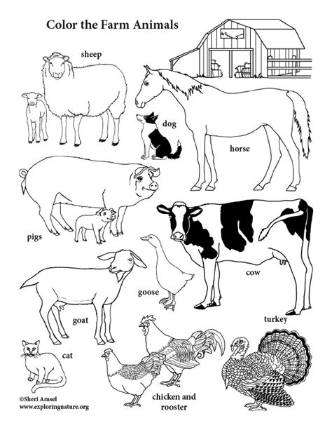 Farm Animals Coloring Page (Vertical)