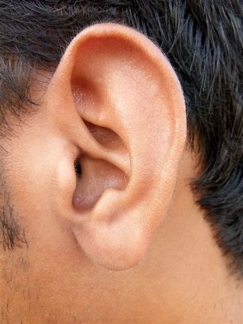 How Do I Get My Ears To Stop Itching