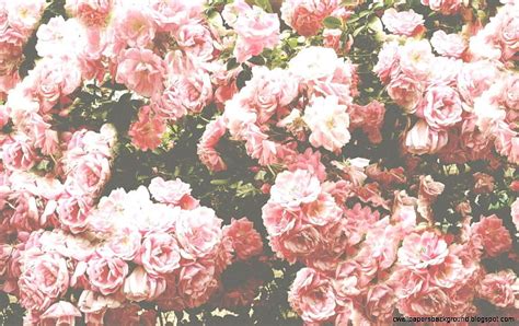 Pink Flower Tumblr Background - Pink Aesthetic Background Flowers, Grunge Tumblr Aesthetic ...