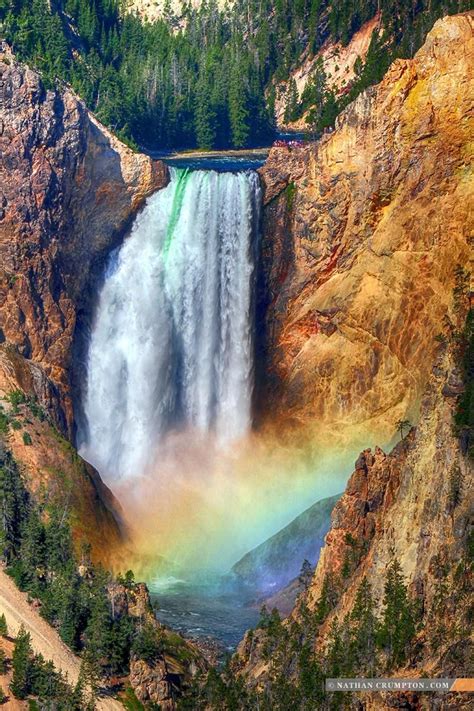 a waterfall with a rainbow in the middle and trees around it, as seen from above