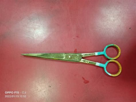 Rubber Handle Funner Steel Golden Cutting Salon Scissors, For Barber,salon And Parlour, Size: 6 ...