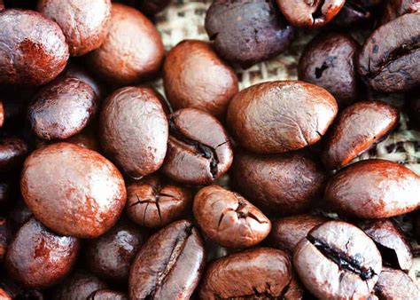 The 4 Different Types Of Coffee Beans Explained Types Of Coffee Beans - Vrogue