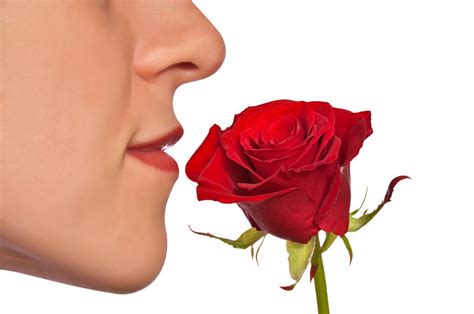 Smell disorders: When your sense of smell goes astray - Harvard Health