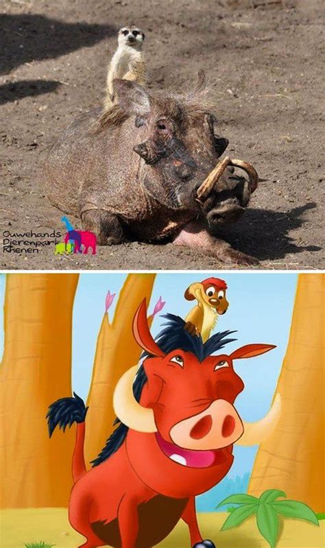 24 Funny Moments When Art Came To Life | Timon and pumbaa, Timon, Funny ...