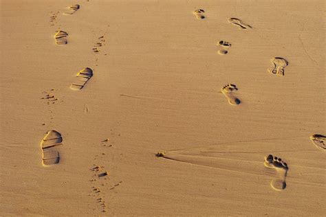 Footprints on Beach Sand · Free Stock Photo