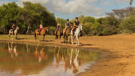 Horse Riding Volunteering in South Africa - African Horse Safaris