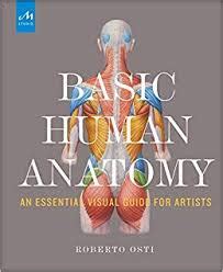 Human Anatomy Research Paper