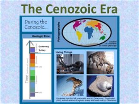 PPT - The Cenozoic Era PowerPoint Presentation, free download - ID:2113353