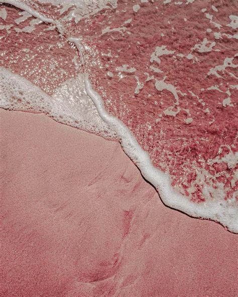 Download Pale Pink Beach Waves Wallpaper | Wallpapers.com