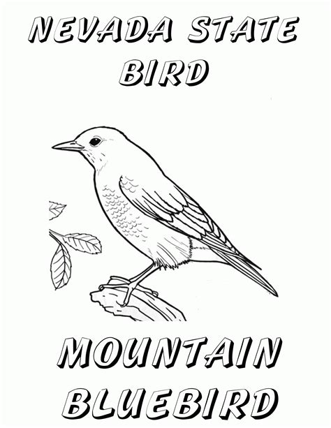 Wisconsinstate Bird Coloring Page - Coloring Home