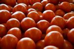 Tomatoes | ClipPix ETC: Educational Photos for Students and Teachers