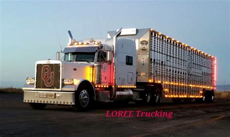 Semitrckn — 2003 Peterbilt custom 379 bull hauler