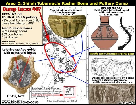 Dig Shiloh volunteer: The Archaeology of Israel’s First Jerusalem