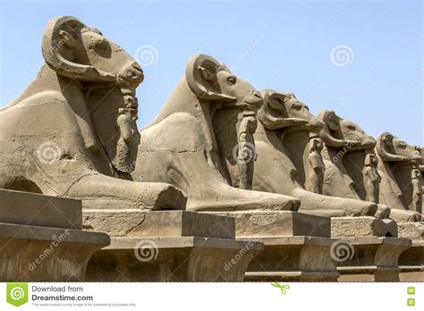 A Row of Ram Statues at the Enterance To the Karnak Temple in Luxor ...