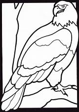 Eagle coloring  Free Animal Pages Sheets sketch template