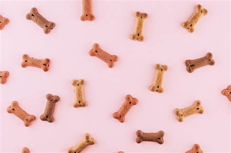 DIY Dog Biscuits - The Organized Mom