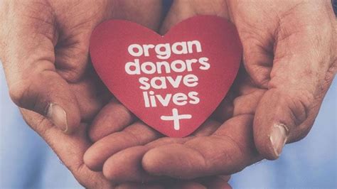 World Organ Donation Day: A brief history | Latest News India ...