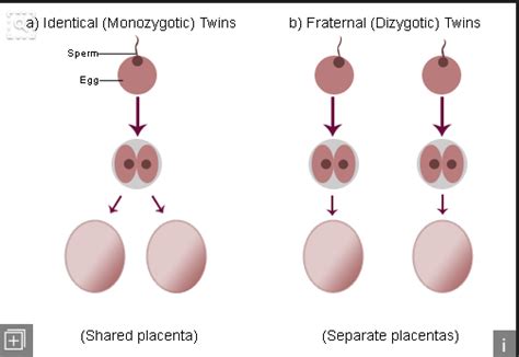 Pin op Genetic Project