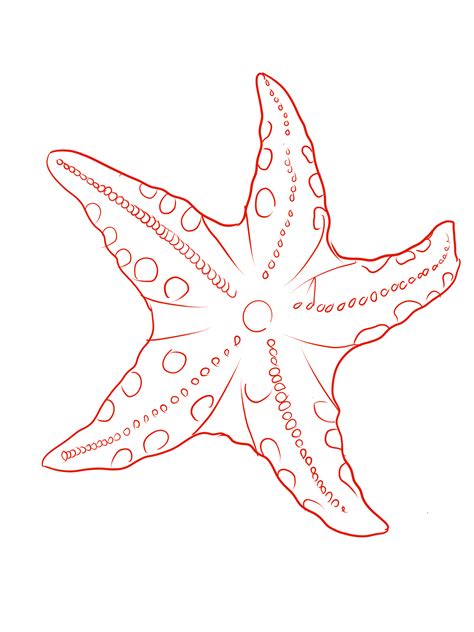 How to draw a starfish step by step drawing tutorials – Artofit