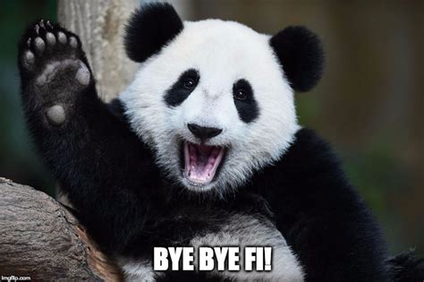 Bye Bye Panda - Imgflip