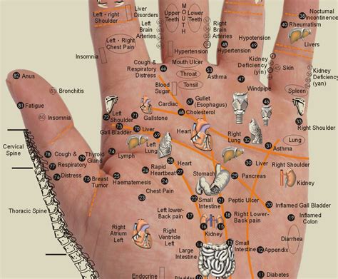 Acupressure Points On Hands Chart