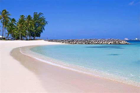 Bokolap Beach, The Marshall Island | Beach, Marshall islands, Places to go