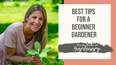 Tips For A Beginner Gardener