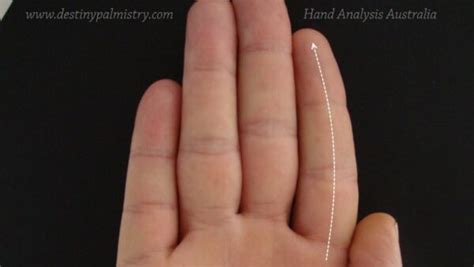 Curved Index Finger Meaning in Palmistry - Destiny Palmistry Home