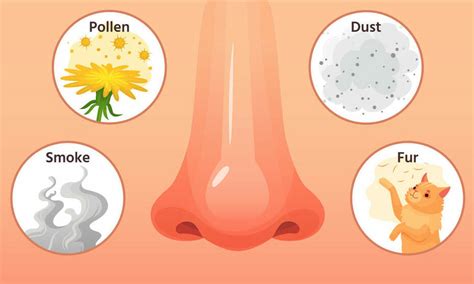 Dust Allergy | Symptoms | Home Remedies to Cure Naturally