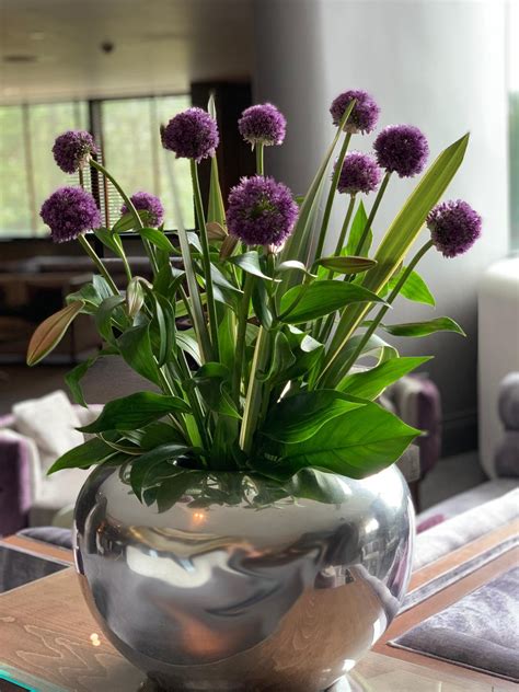 Allium Vase Arrangement | Hotel flowers, Vase arrangements, Flower show