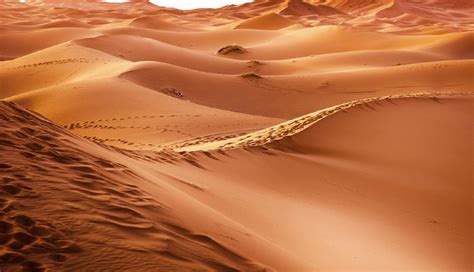 6 Reasons Why Sand Dunes Jaisalmer Should Be on Your Must Visit List - lifeberrys.com