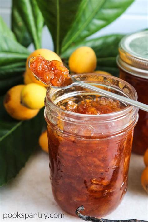 Loquat Recipes Marmalade - Home Alqu