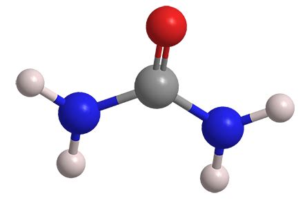 Urea - American Chemical Society