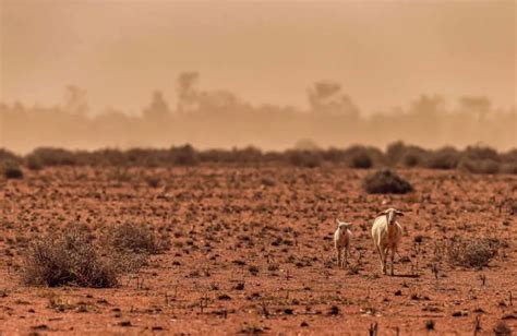 When will Australia’s drought break? | Pursuit by The University of Melbourne