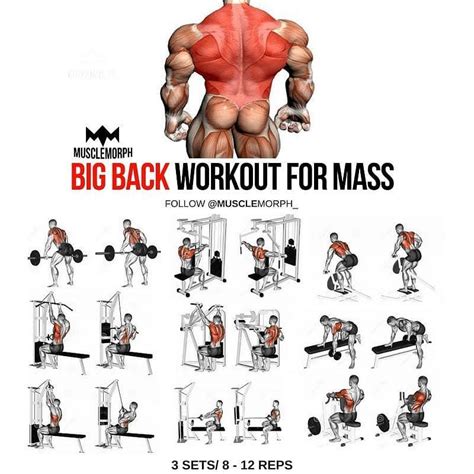 BIG BACK WORKOUT FOR MASS For more content follow us @fitnessimportance ...