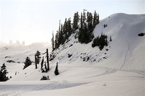 WanderingAway.com : Snowshoeing Artist Point at Mt. Baker