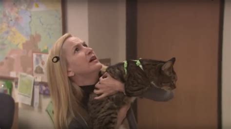 Video Of 'The Office's Angela & Oscar Recreating That Fire Drill Scene ...