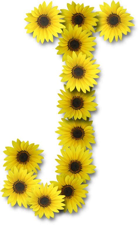 Alfabeto sunflowers .....J | Letter j, Paper flowers, Sunflower wallpaper