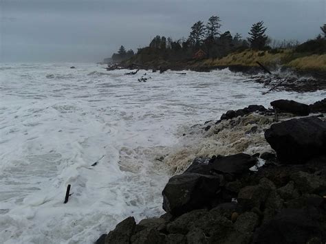 Beach Change Report: Tokeland, WA - MyCoast