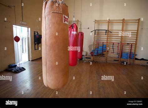 Boxing bags at a gym Stock Photo - Alamy