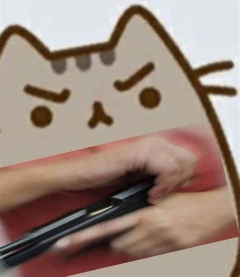 cat is displeased | Pusheen | Know Your Meme Funny Profile Pictures, Funny Reaction Pictures ...