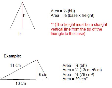 formula for area of a triangle | Triangle formula, Area formula, Basic algebra