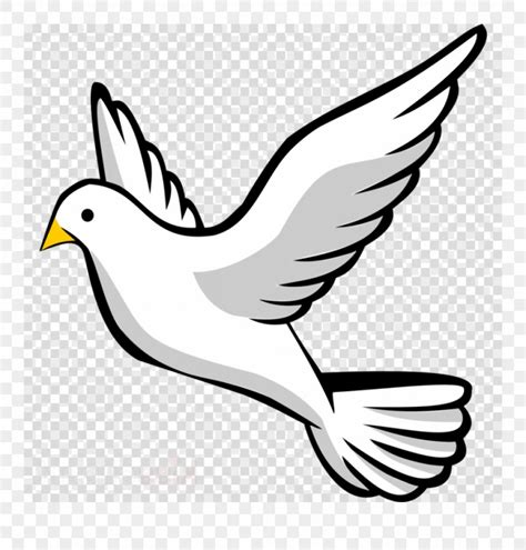 Dove clipart realistic, Dove realistic Transparent FREE for download on ...